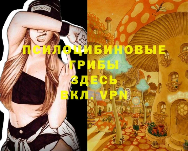 наркотики Медвежьегорск