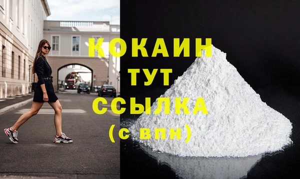шишки Медногорск