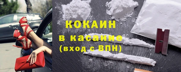 шишки Медногорск