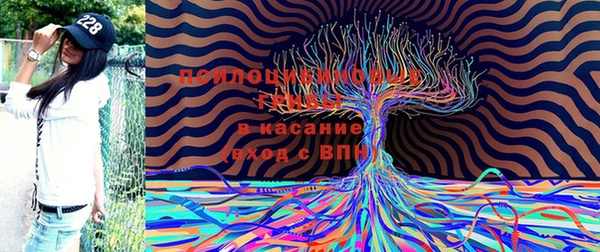 наркотики Медвежьегорск