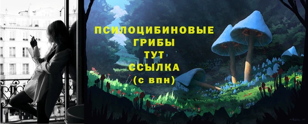 шишки Медногорск