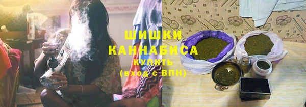 шишки Медногорск
