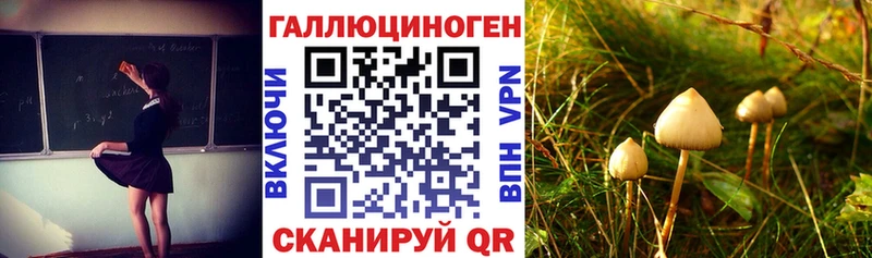 магазин продажи   Петропавловск-Камчатский  Псилоцибиновые грибы Magic Shrooms 