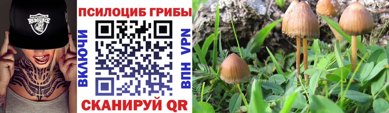 Псилоцибиновые грибы Magic Shrooms Петропавловск-Камчатский