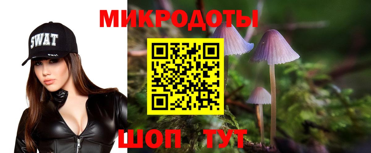 Петропавловск-Камчатский  Псилоцибиновые грибы Cubensis  Вход с VPN 